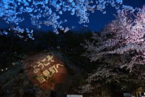 百穴桜祭ライトアップ