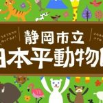【静岡動物園】静岡市立日本平動物園まとめ、ご紹介🐰